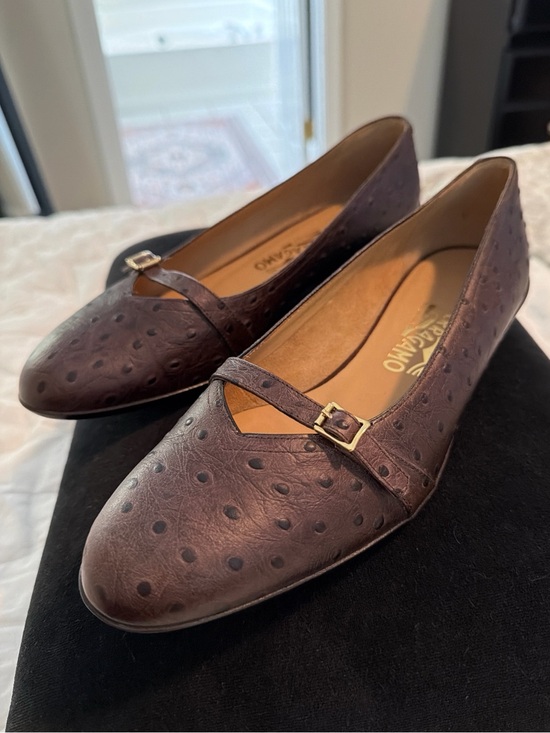 Salvatore Ferragamo Shoes - Salvatore Ferragamo Audrey Ballet Flats Ostrich Brown 8